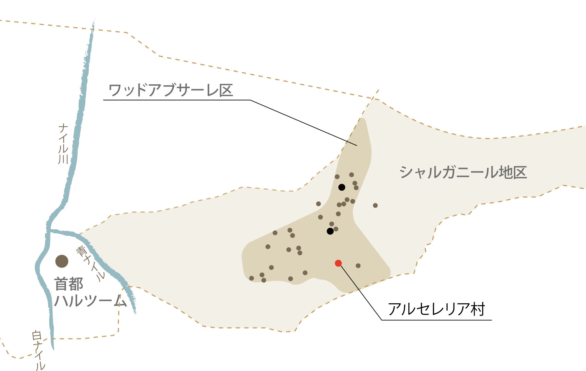 アルセレリア村 井戸改修工事の完了 アフリカに医療や水を届ける国際ngoロシナンテス アルセレリア村 井戸改修工事の完了 アフリカに医療や水を届ける国際ngoロシナンテス